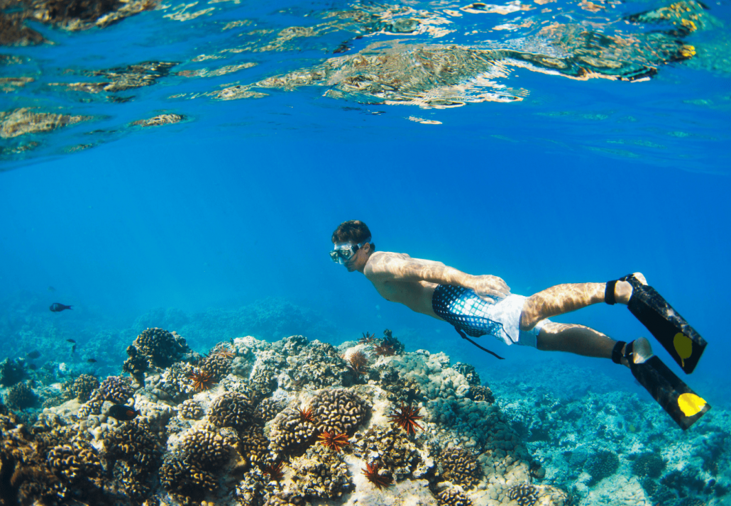 Snorkeling at Gili Trawangan