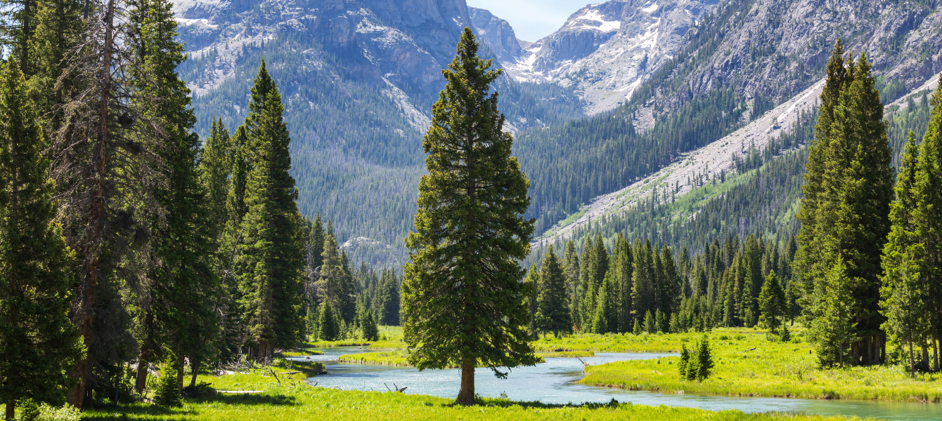 Best Affordable National Park Stays for Summer Fun