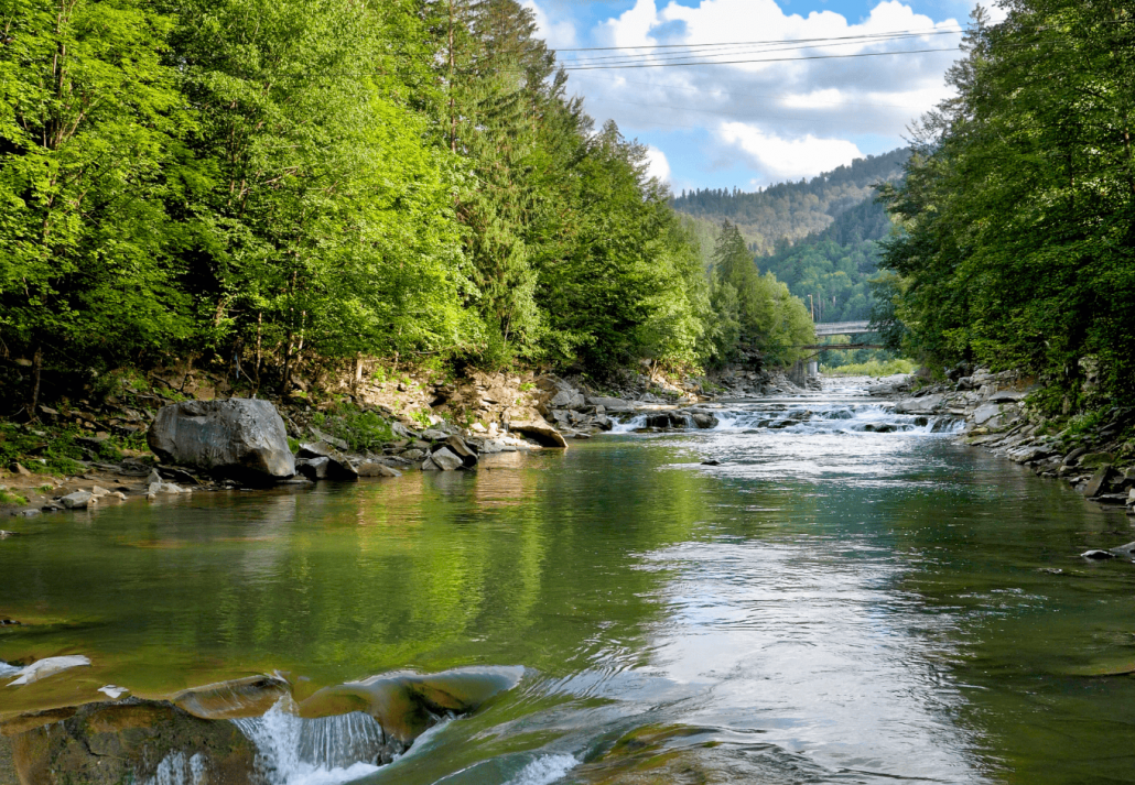 
Beautiful landscape of pine forest, mountain peaks and wide calm river