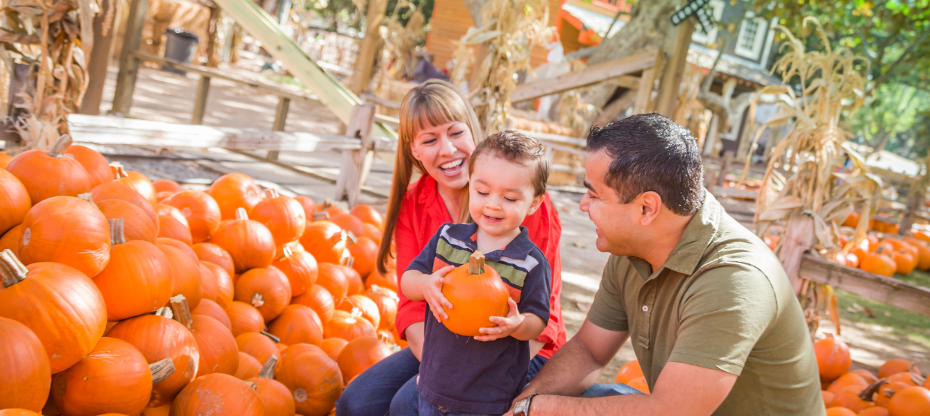 Halloween Events in Los Angeles 2025: The Ultimate Guide