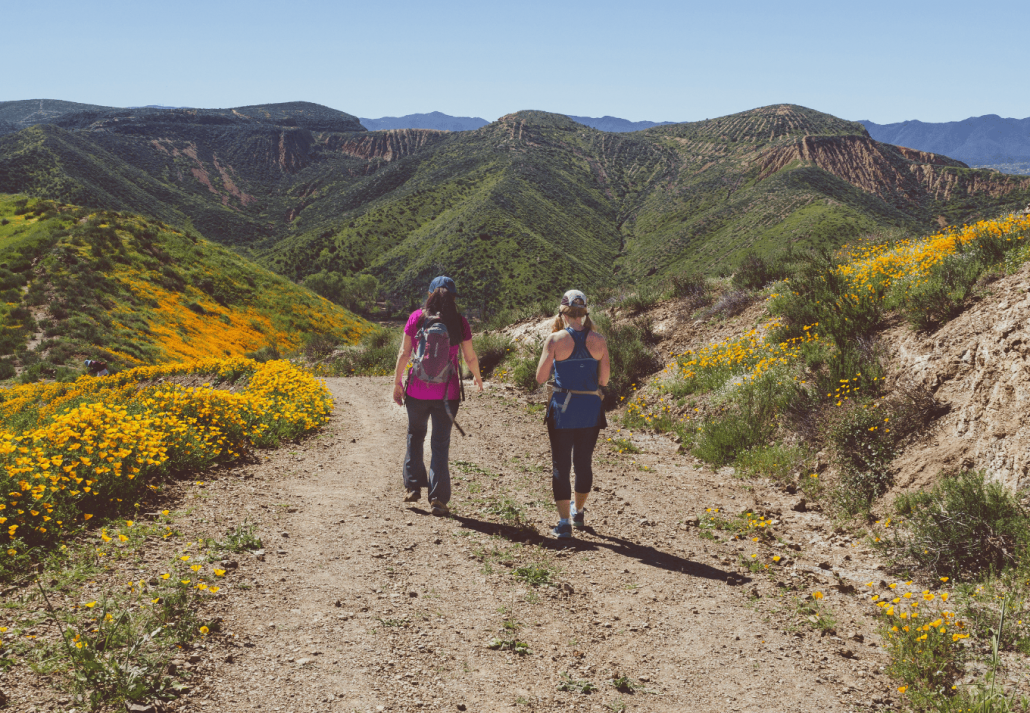Women hiking in the Los Padres National Forest among poppies on a sunny spring day