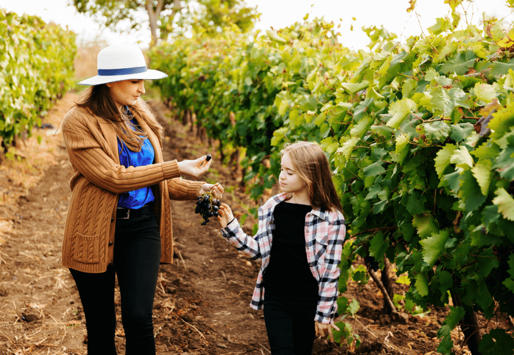 Young beautiful girl and little child walking through a vineyard