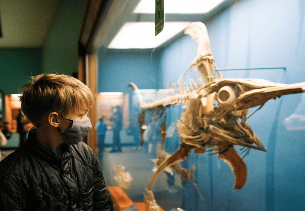 A boy checks out a skeleton at the Natural History Museum .