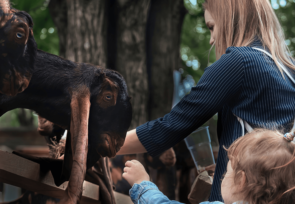 family on a walk in the zoo