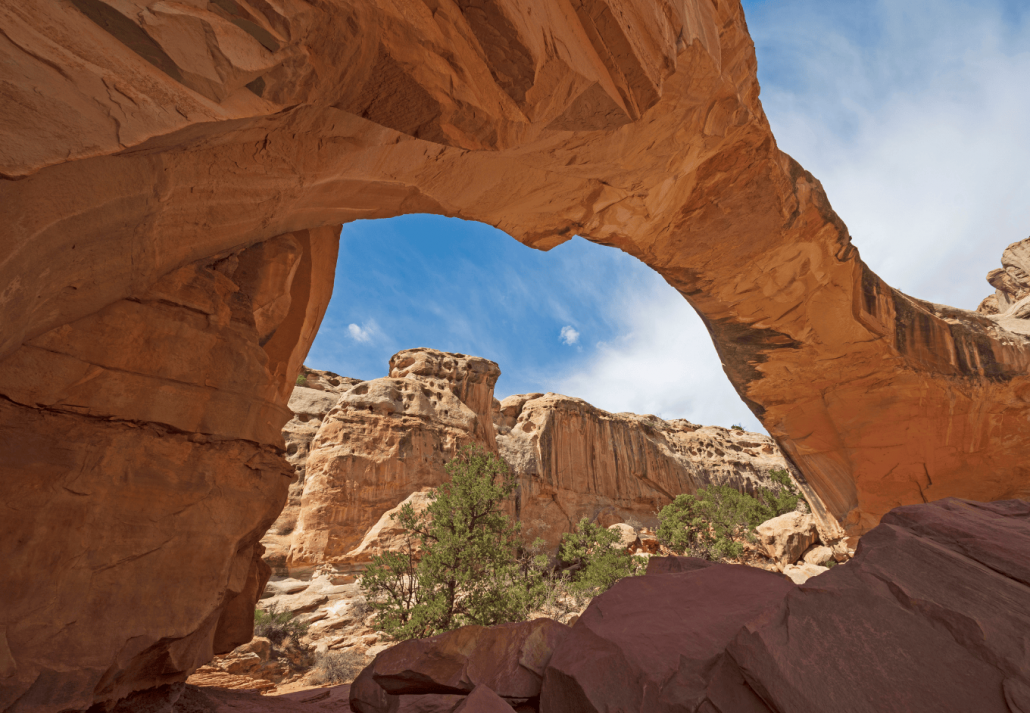 arche of rattlesnake canyon