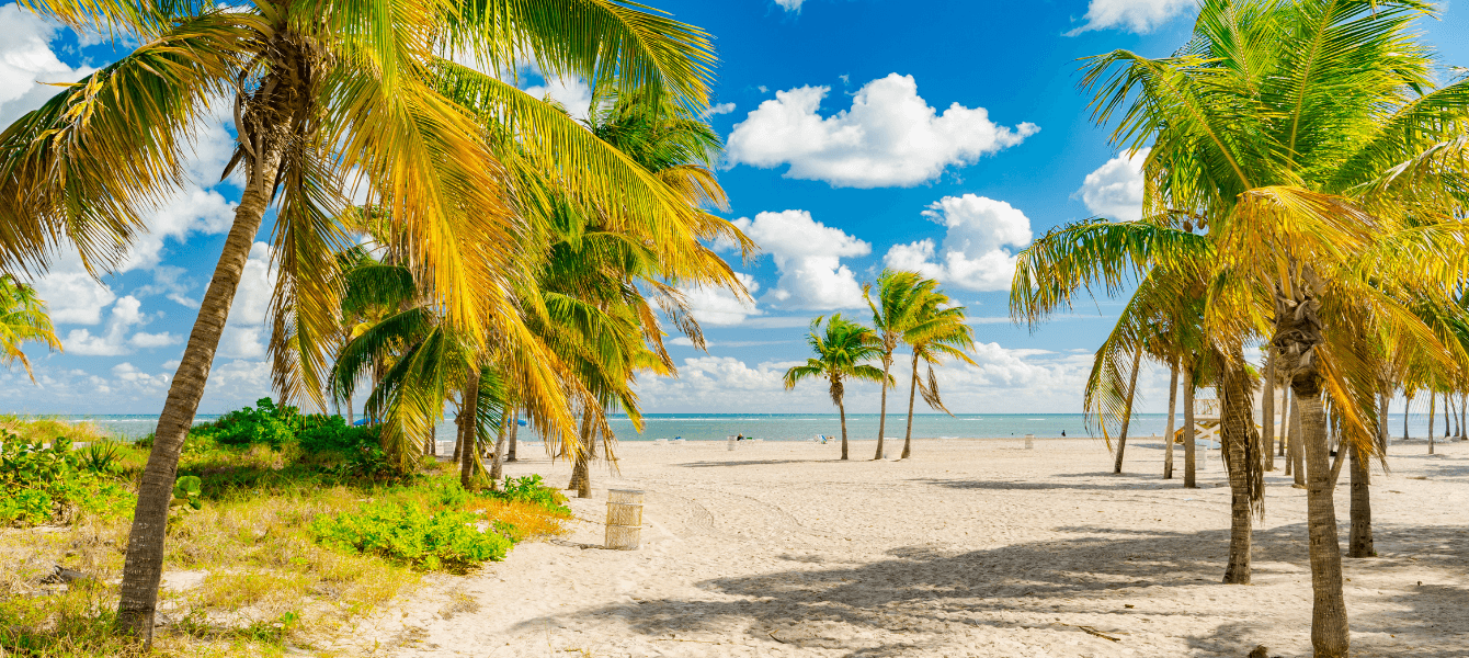 A Guide to Best Family Beach Destinations in Destin