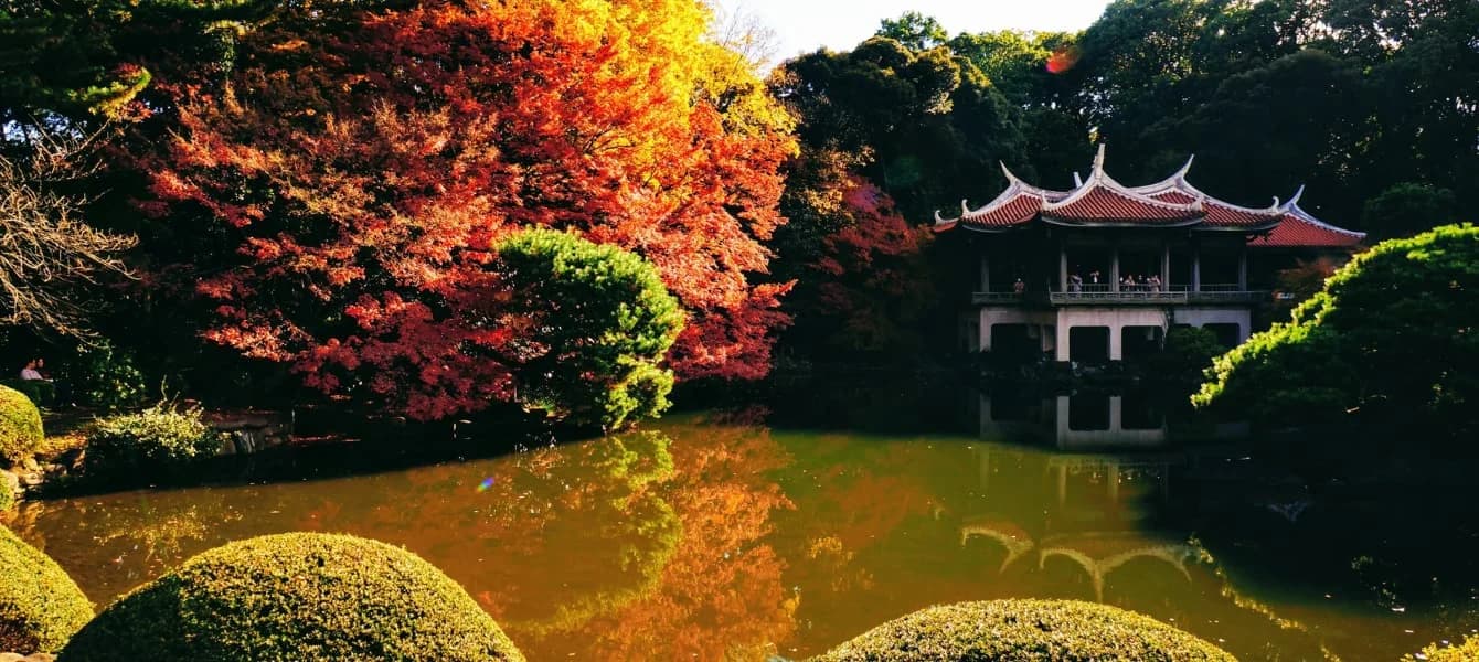 Exploring The Beautiful Shinjuku Gyoen National Garden In Tokyo