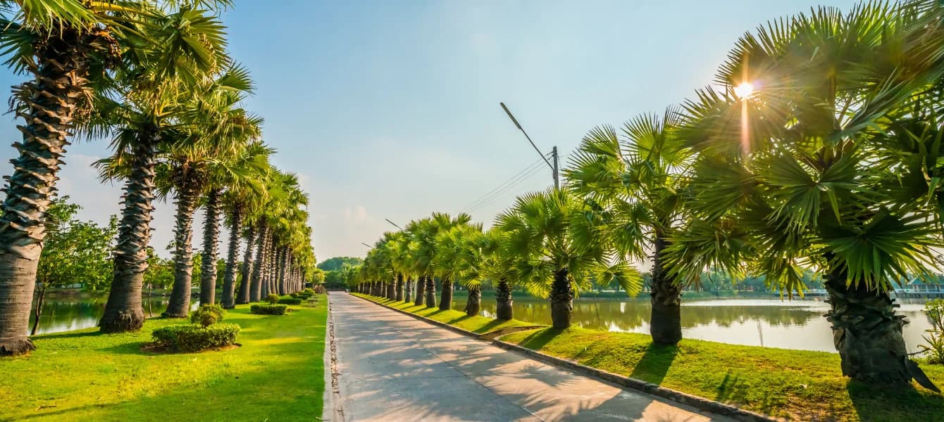 Ultimate Guide: Exploring The Best Green Saudi Arabia | Green Riyadh