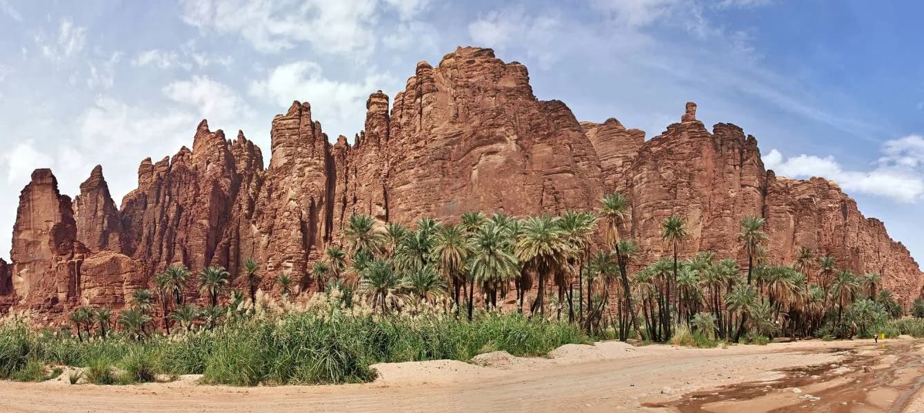 Explore the Hidden Beauty of Wadi Al Disah, Saudi Arabia