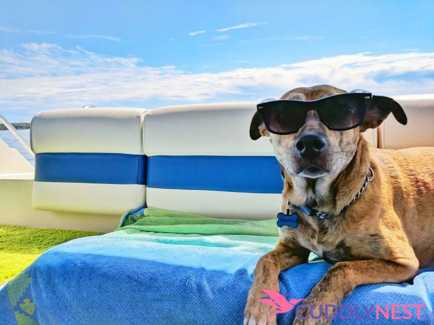 Holidays with pets around Europe