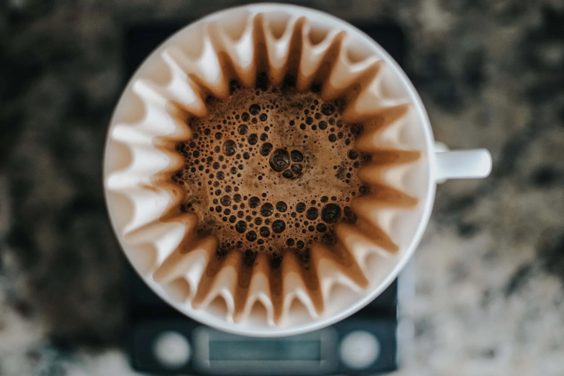 The Most Amazing Types of Coffee Around the World