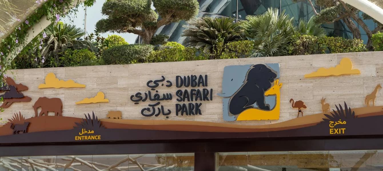 Best Dubai Safari Park: All You Need To Know