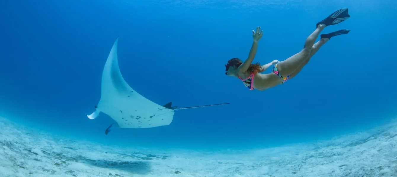Snorkeling In Dubai: Everything You Need To Know