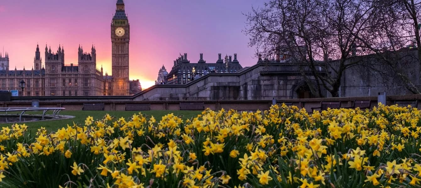 ZSL London Zoo: The Ultimate Visitor’s Guide