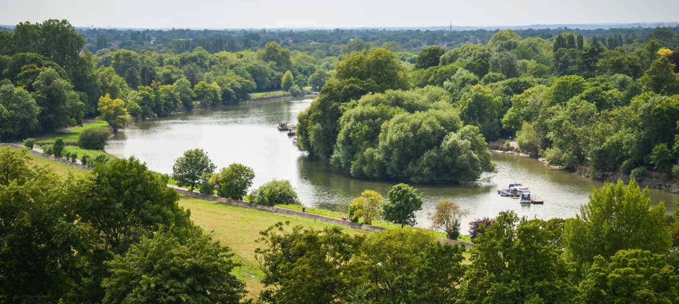 Explore Richmond Park: Everything You Need to Know