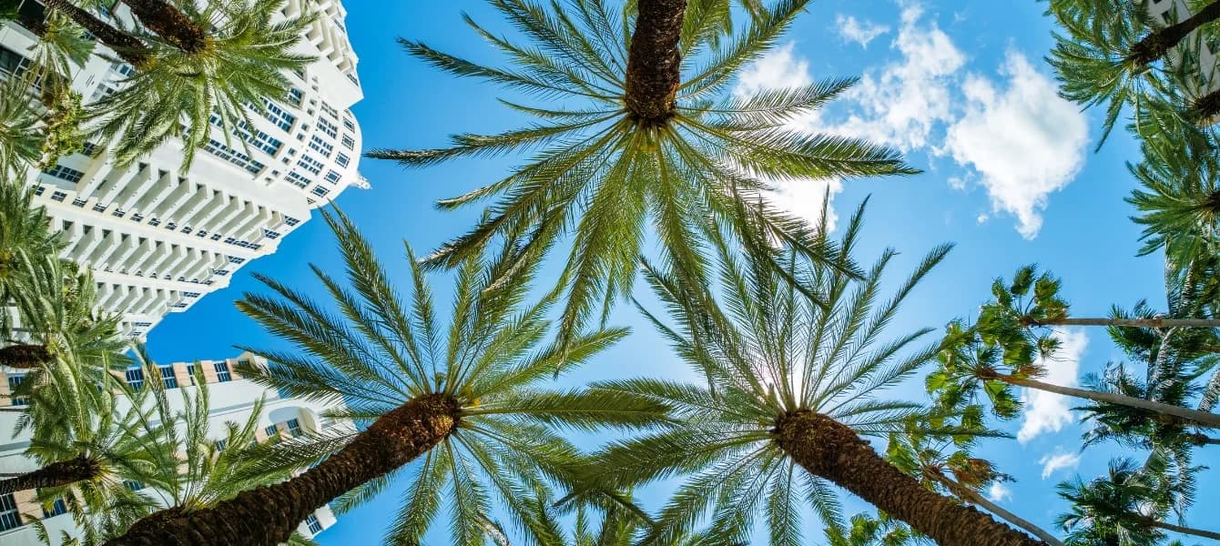 The 5 Best Miami Resorts