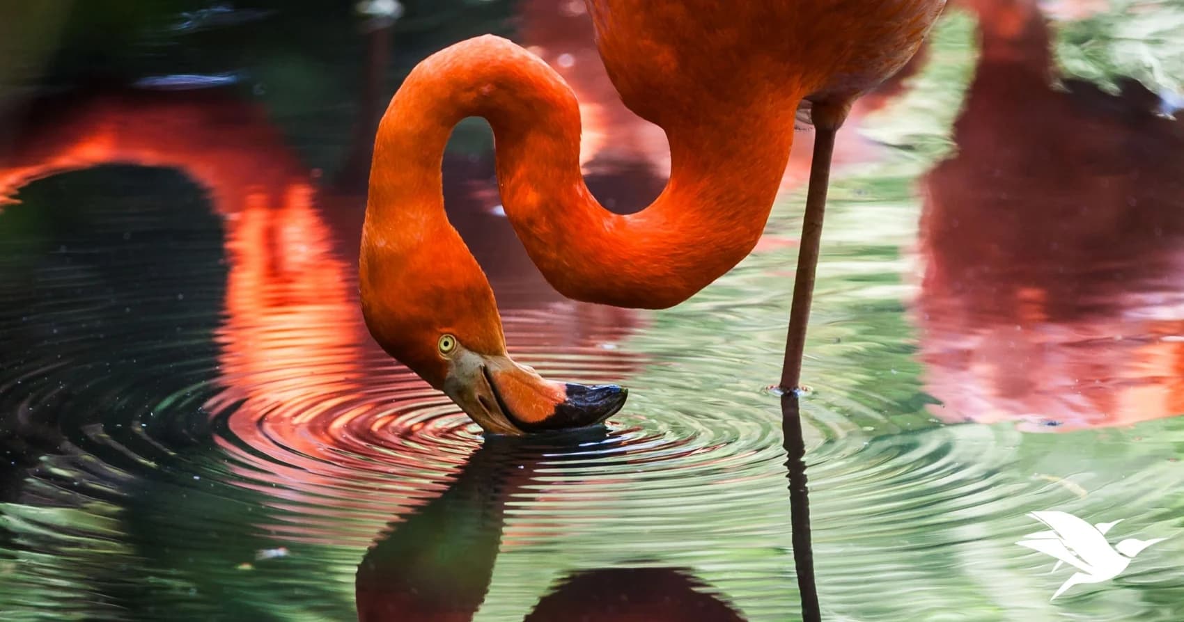 10 Best Day Trips From Naples, Florida