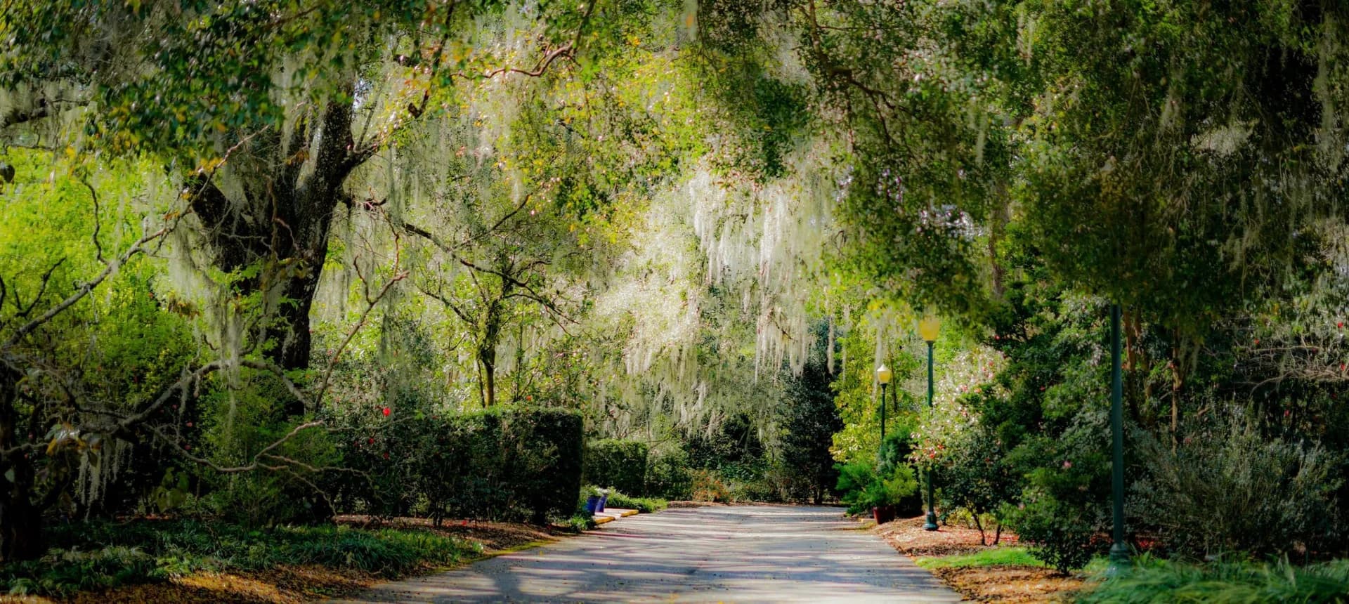 A Guide To Visiting The Harry P. Leu Gardens in Orlando, Florida