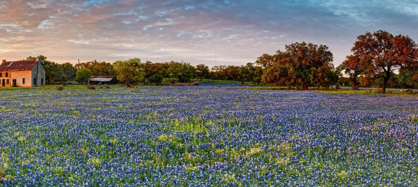 Best Spring Break Destinations for Families in Texas Hill Country