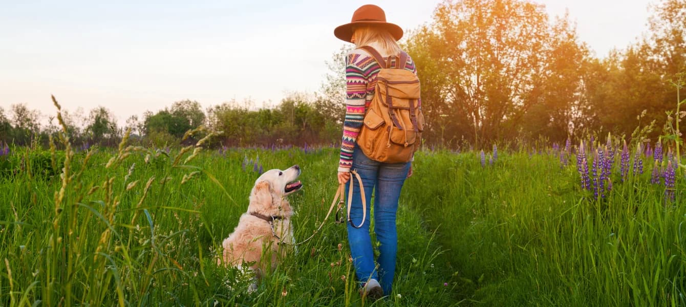 The Ultimate Guide to Traveling with Pets for Holidays